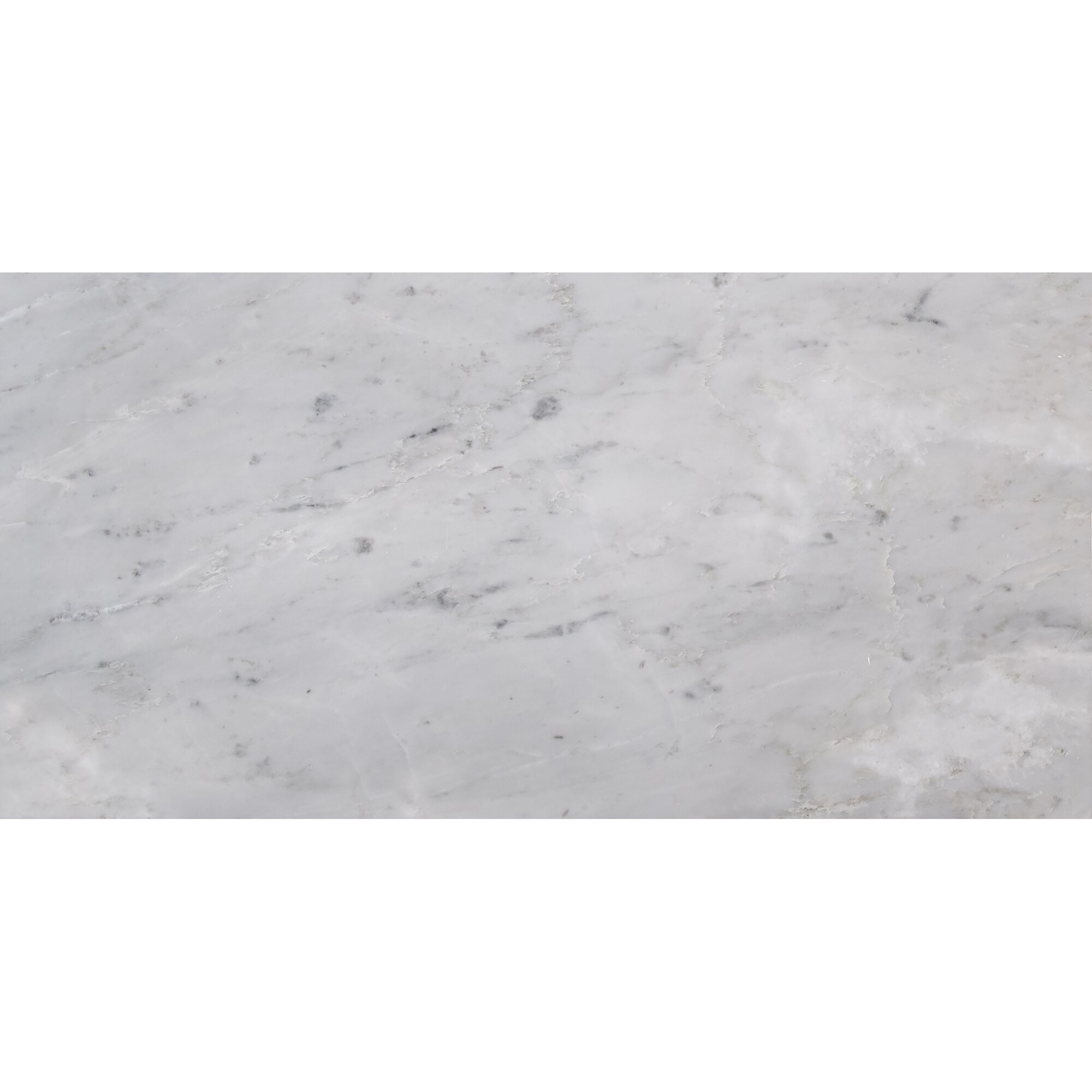 12'' x 24'' Marble Field Tile in Arabescato Carrara & Reviews AllModern